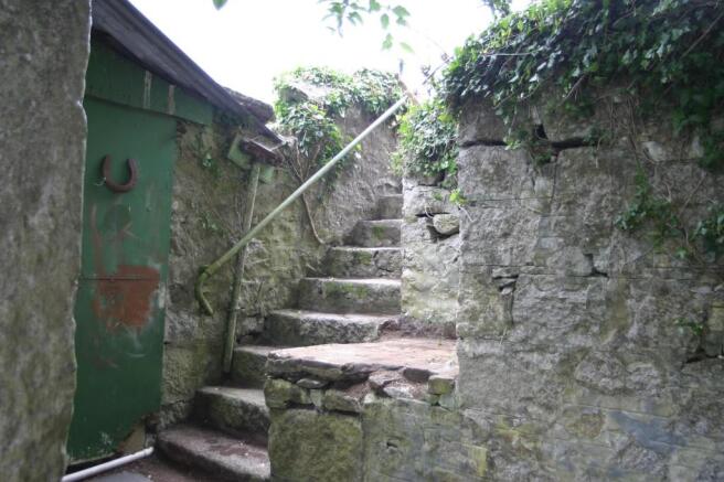 Yard and Steps
