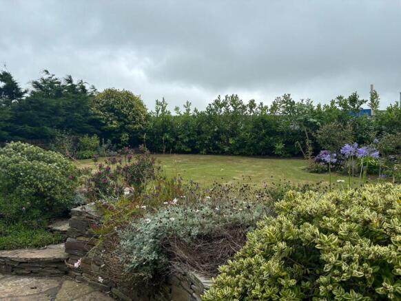 rear garden.jpg