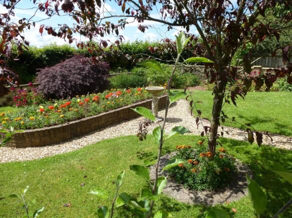 Back Garden