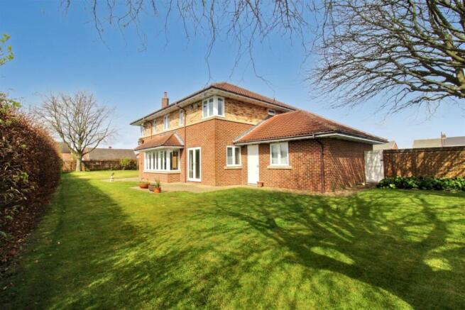 IMG_0533.JPG