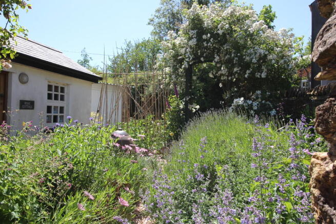 Photo 10