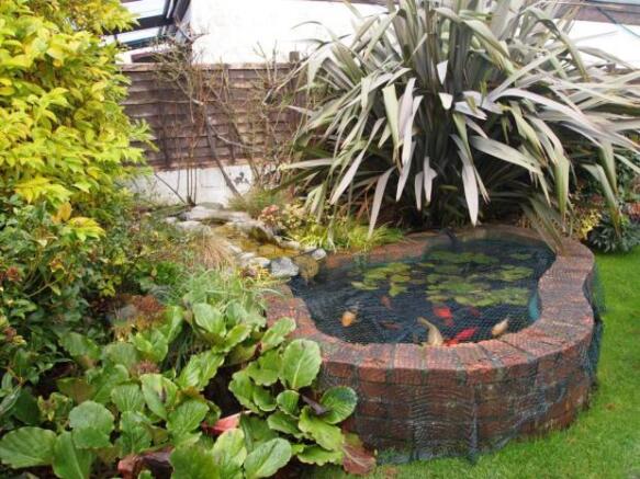 Ornamental Fish Pond