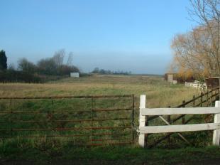 paddocks