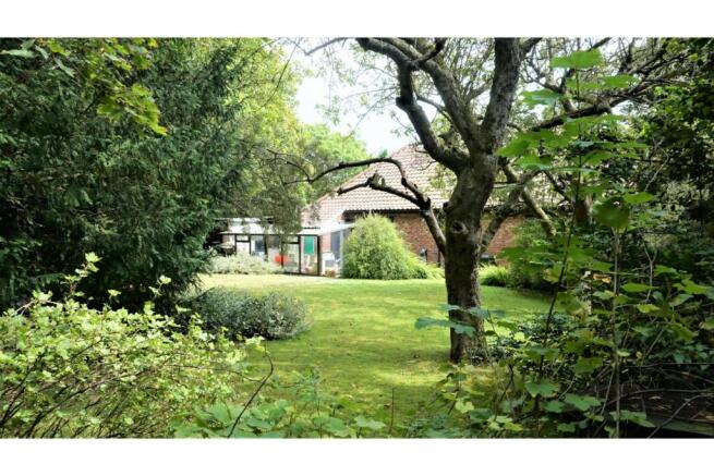 The Property