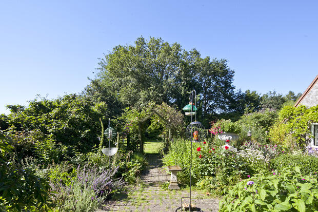 Photo 13