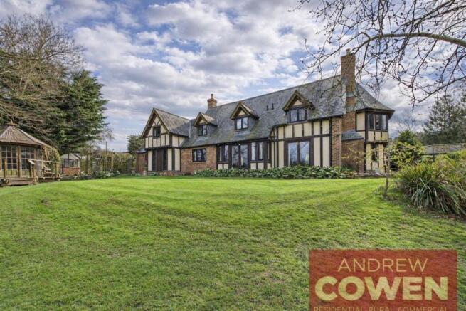 lead photo 2JPEG.jpeg