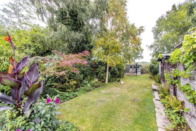 garden.jpg