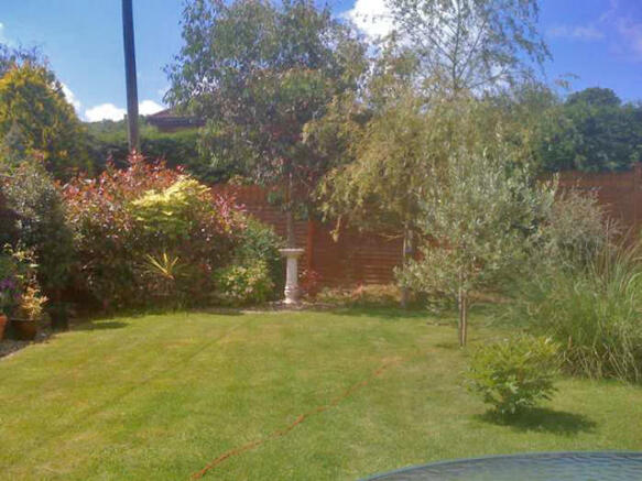 Photo 8