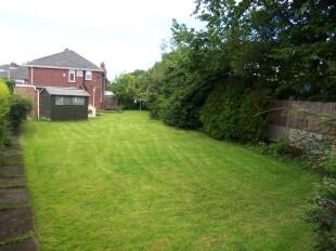 garden.