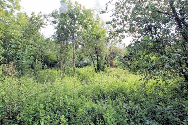 Woodland
