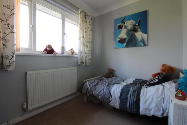 Photo 20