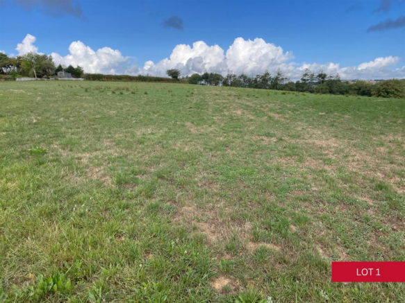 LOT 1 (19).png