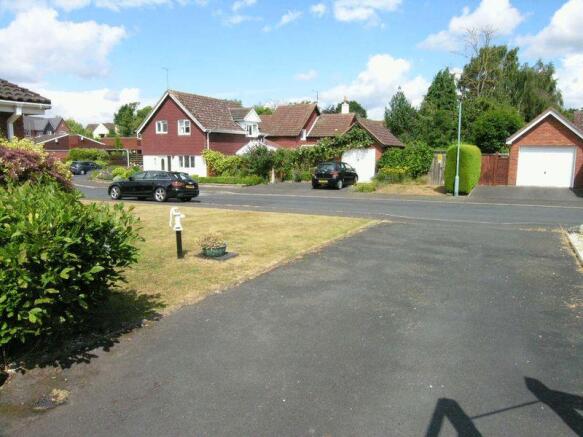 Photo 15
