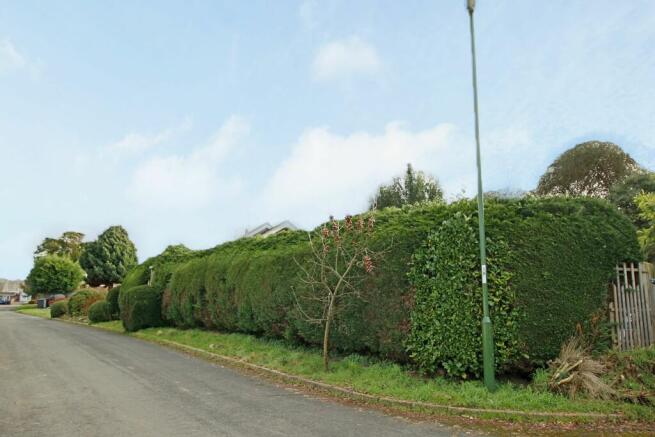 Ockley Way