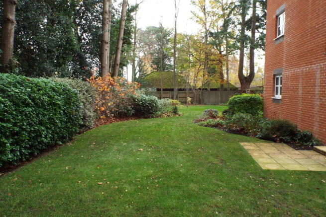 Photo 10