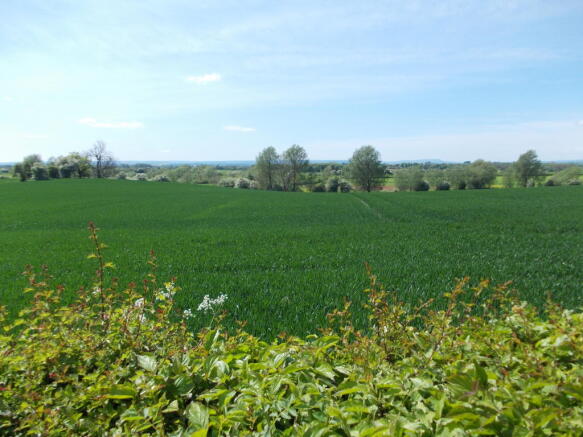 Photo 47
