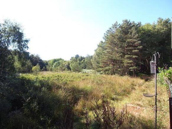 view over adjoining Country Park