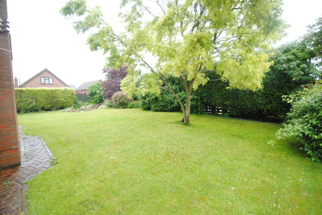 Photo 29
