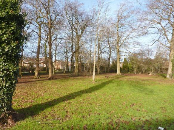 Woodland to the rear