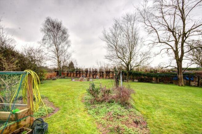 Garden 6.jpg