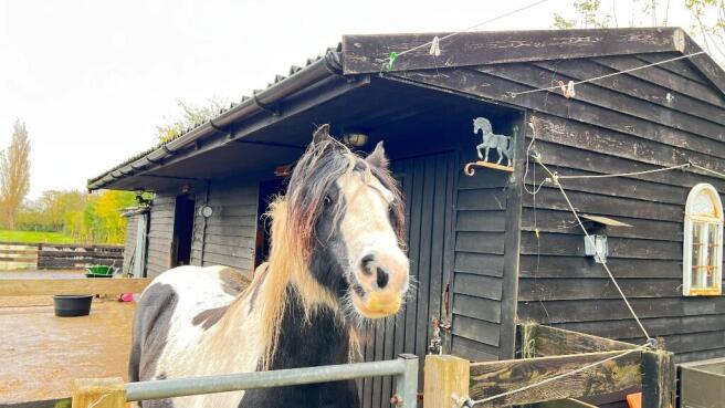 Stable Block