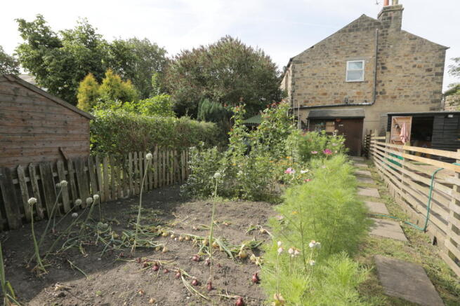 Veg Plot