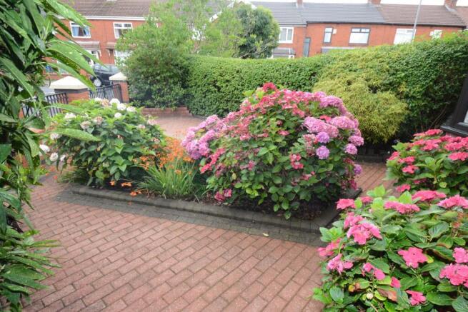 FRONT GARDEN