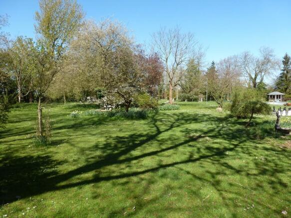Photo 25