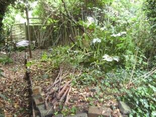 Rear Garden 5