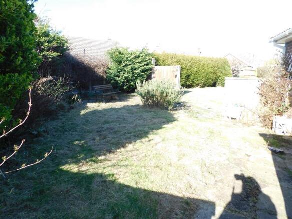 SIDE GARDEN