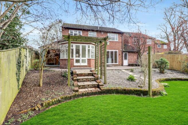 back garden