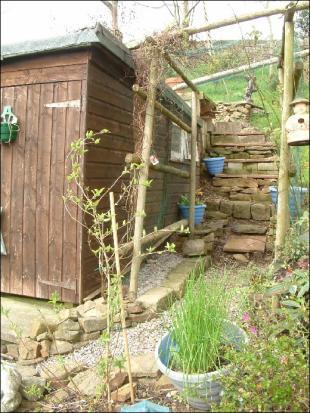 Back Garden