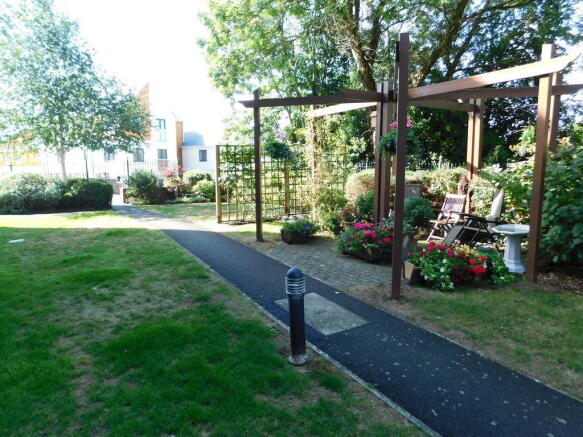 Photo 12