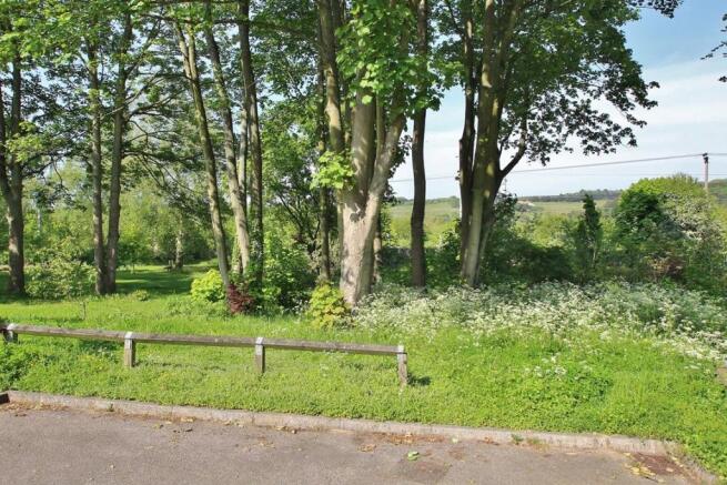 Nearby Copse.JPG