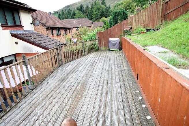 BACK YARD B