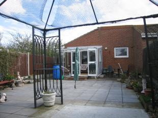 Photo 4
