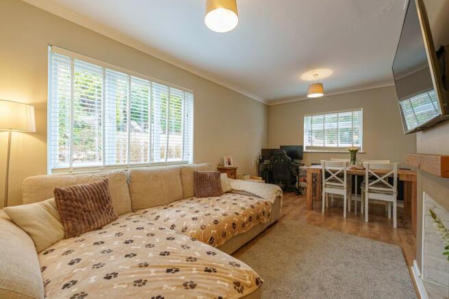 Living Room / Diner