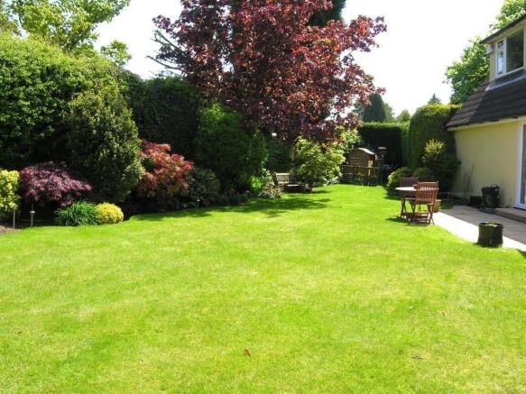 Garden 3