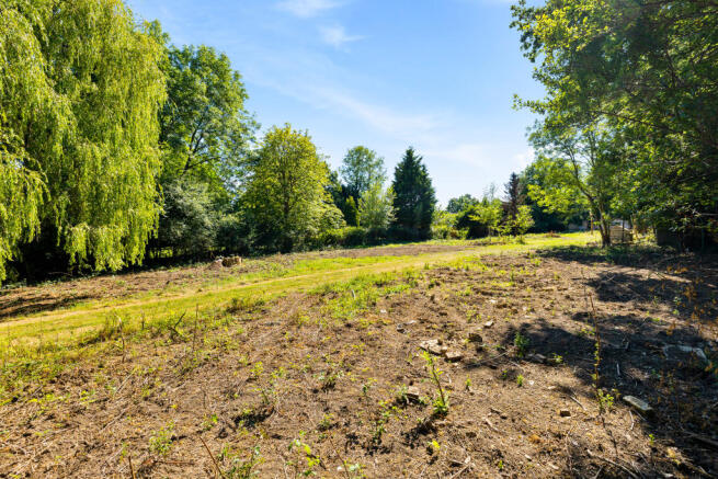 ground image (9).jpg