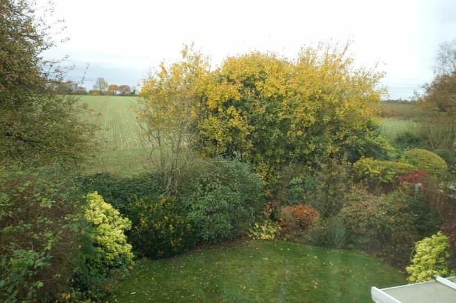 Window View