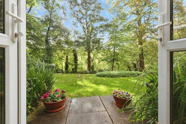 View From Patio Door