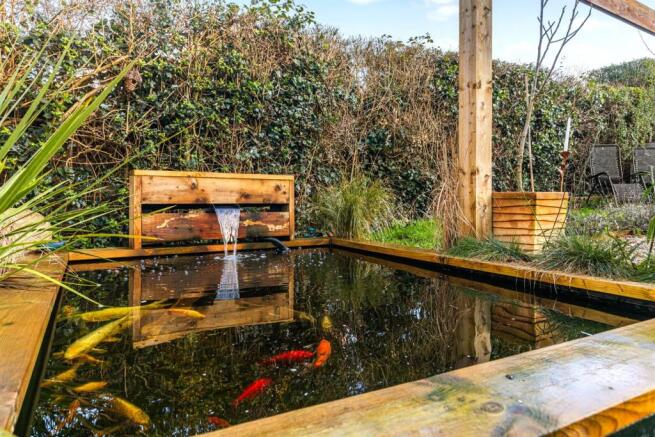 Koi Fish Pond