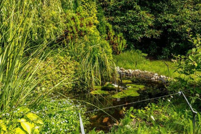 Garden Pond