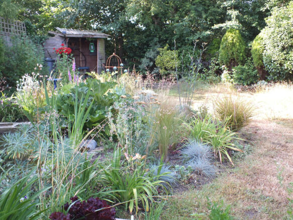 garden