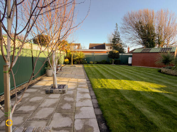 Photo 15