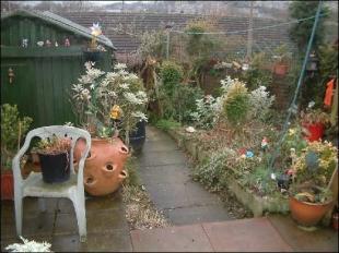 Back Garden