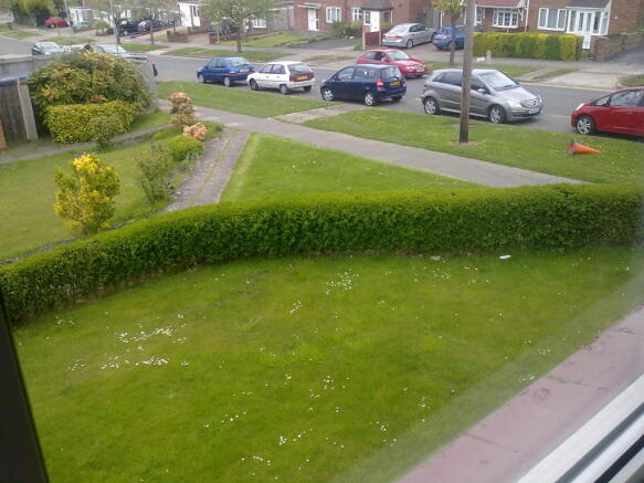 Photo 17