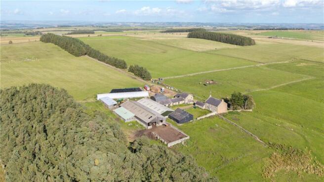 Lords Lot Steading