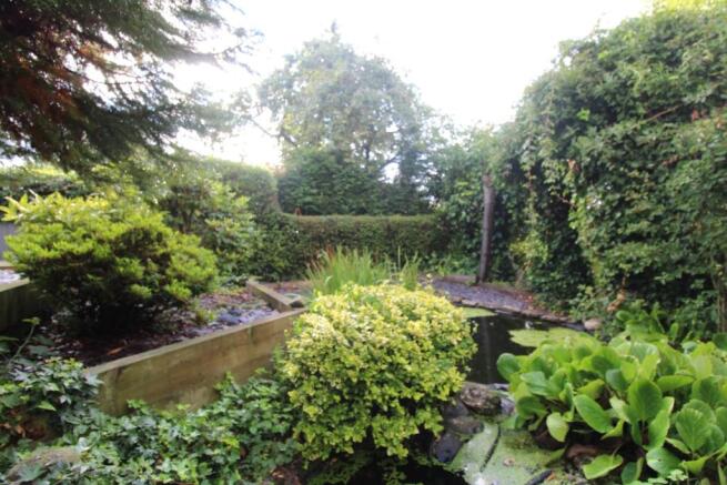 Pond