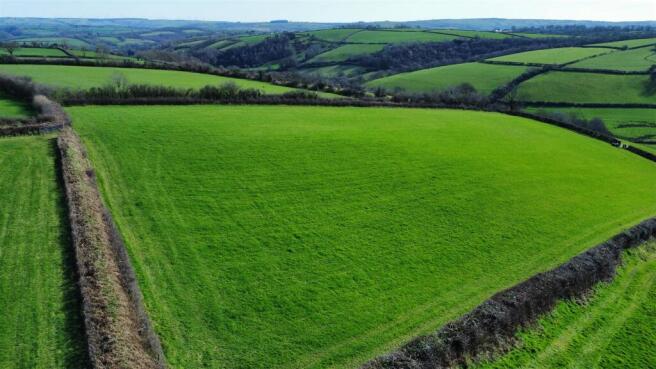 dji_fly_20260318_142232_387_1773844453158_photo_op